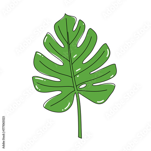 Hand-drawn vector illustration of a green Monstera deliciosa leaf. Flat line art design isolated on a white background