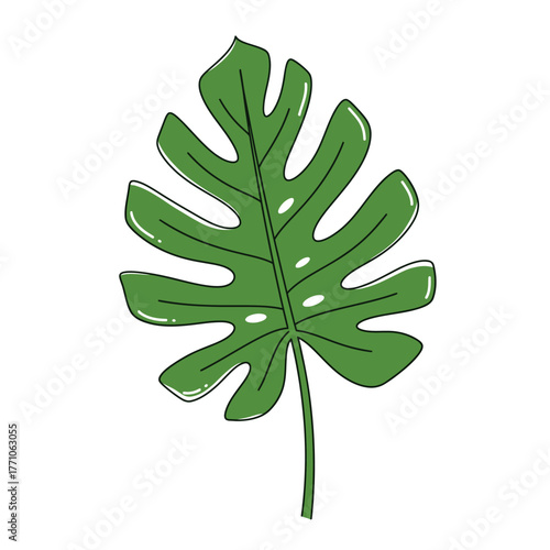 Hand-drawn line art illustration of a glossy green tropical Monstera or philodendron leaf isolated on white