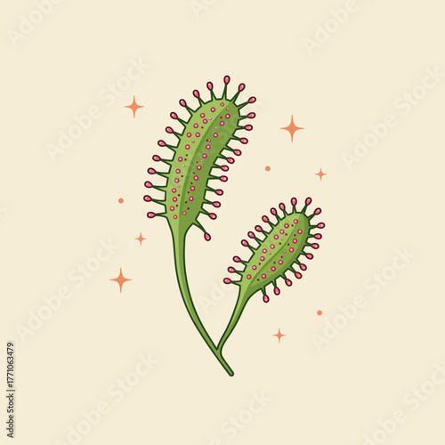 Stylized line art vector illustration of a carnivorous sundew plant with sticky pink dew drops