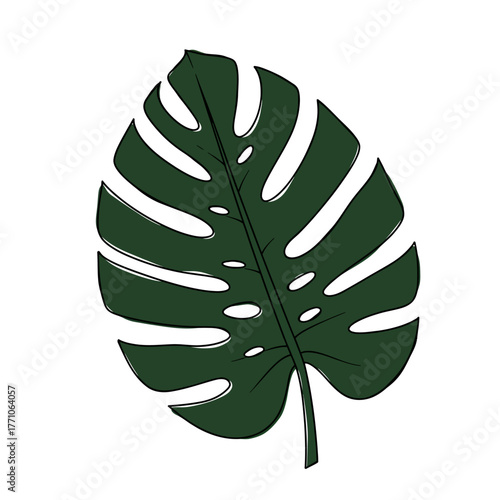 Vector illustration of a single dark green monstera leaf. Tropical foliage sketch with a flat design style isolated on a white background