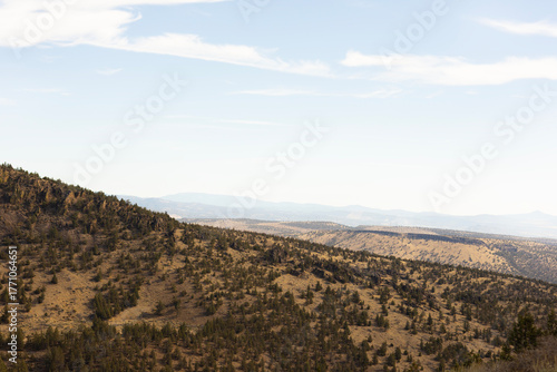 landscape in the hills and flowers
