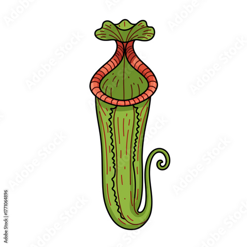 Vector illustration of a carnivorous pitcher plant. Hand-drawn Nepenthes doodle with a bold outline. Exotic tropical flora design element