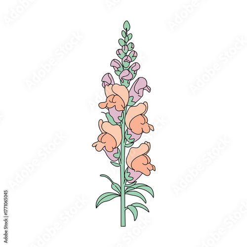 A beautiful flat vector illustration of a single snapdragon flower stalk with delicate pastel petals, rendered in a clean outline style