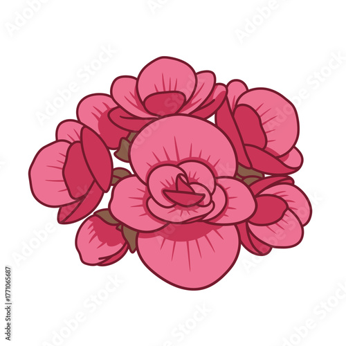 Delicate bouquet of pink begonia flowers, a charming vector graphic illustration with a defined outline, perfect for spring designs