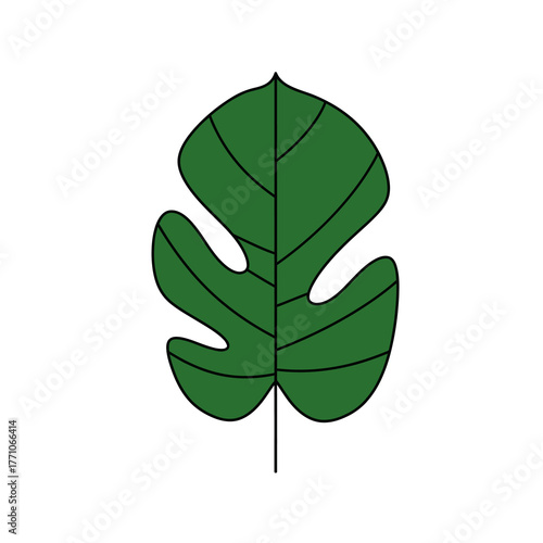 A simple, clean vector illustration of a lush green tropical Monstera deliciosa leaf, isolated for botanical and nature-themed design projects