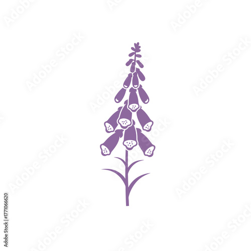 A simple vector illustration of a purple foxglove flower with a clean outline, isolated on a white background