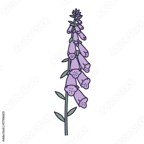 A simple vector illustration of a purple foxglove flower stalk, featuring a clean outline design isolated on a plain background