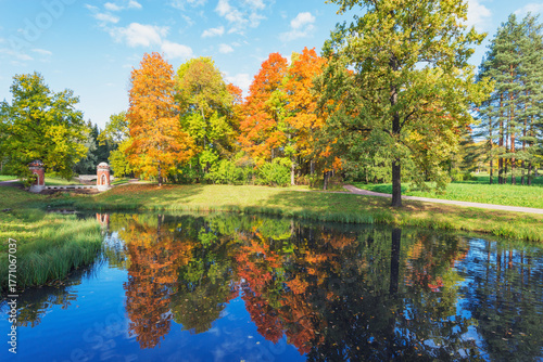 Trees by the pond in the park.