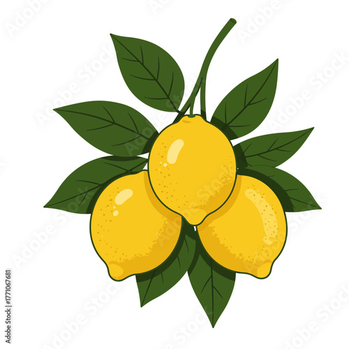A vibrant vector illustration of three ripe yellow lemons hanging from a leafy green branch, isolated on a white background
