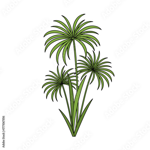 Elegant vector illustration of a green papyrus plant cluster with long stems, isolated on a white background. Clean, stylized drawing of an aquatic sedge