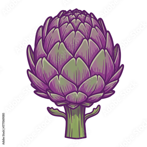 A detailed vector illustration of a fresh purple and green artichoke, an edible flower bud isolated on a white background for culinary and design concepts