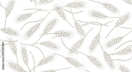 Hand-drawn seamless pattern with scattered wheat ears in a sketch style, depicting agriculture and harvest on a clean white background.