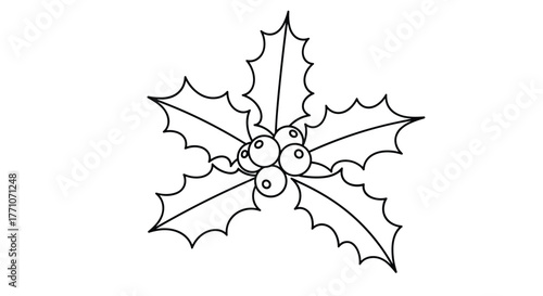 A simple line art drawing of a classic Christmas holly sprig with spiky leaves and a cluster of berries at its center.