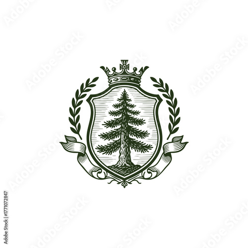 Vintage pine tree crest logo vector illustration. Engraving style nature emblem featuring a detailed pine or cedar tree inside a shield, framed by a laurel wreath and a banner ribbon.