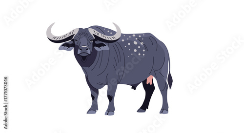 A detailed illustration of a dark gray water buffalo with large horns, white spots, udder, and male genitalia, standing isolated on white.