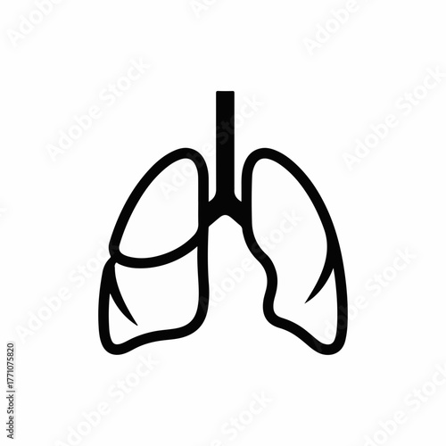 Stylized illustration of human lungs on a clean white background, symbolizing health and respiration.