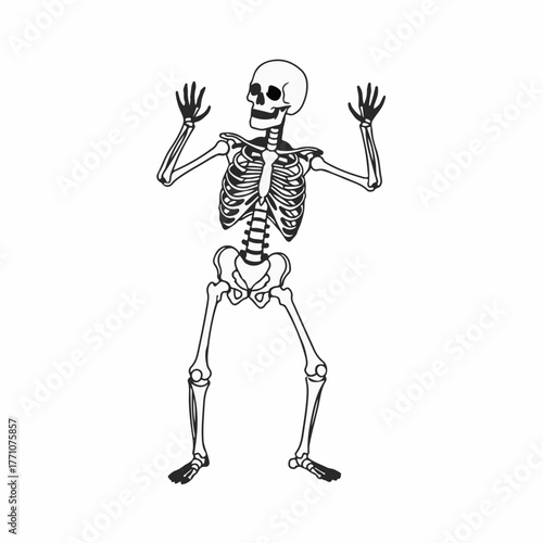 Silly skeleton dancing with raised hands in a playful pose