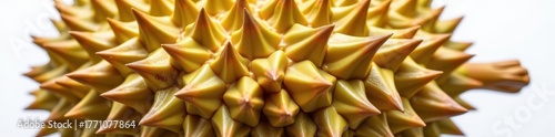 Close-up of spiky durian fruit skin texture against a clean white backdrop, highlighting its unique natural pattern, nobody, organic, white background