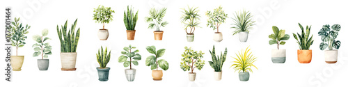 Collection of Potted House Plants Watercolor Illustrations