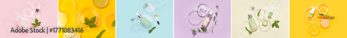 Set of Petri dishes with sa...