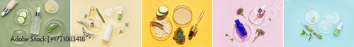Collage of Petri dishes wit...