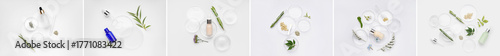 Collage of Petri dishes wit...