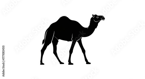 Silhouette of a camel standing with two humps on its back in a black and white illustration