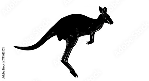 Silhouette of a kangaroo in mid hop with a long tail and small ears against a white background