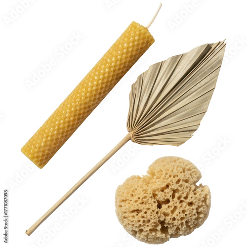 Natural beeswax candle, dried palm leaf, and sea sponge for organic decor or spa