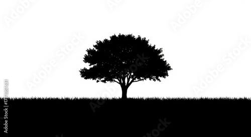 Silhouette of a tree with a full crown standing in a field of grass against a white background scene