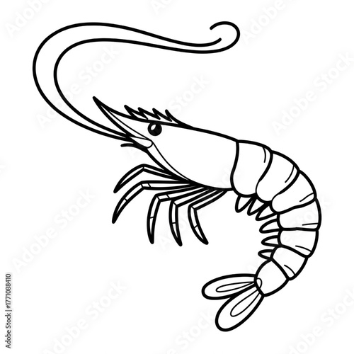 vector illustration of a shrimp coloring page 