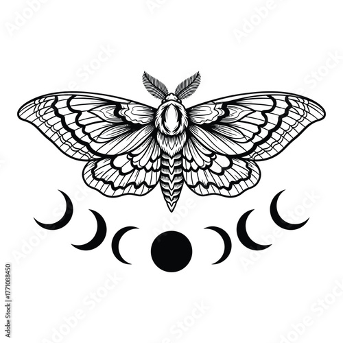 Moth with moon phases illustration in black and white line art
