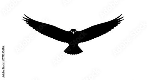 Silhouette of a bird of prey with wings spread wide in flight against a white background showing power and freedom