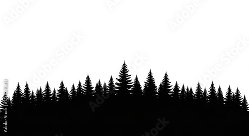 Silhouette of a dense forest with evergreen trees against a white background in a simple vector graphic