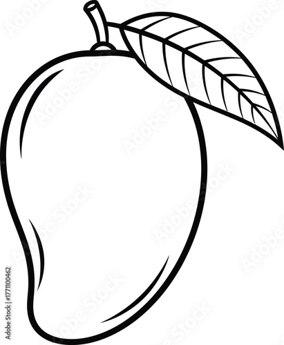 vector illustration of an apple