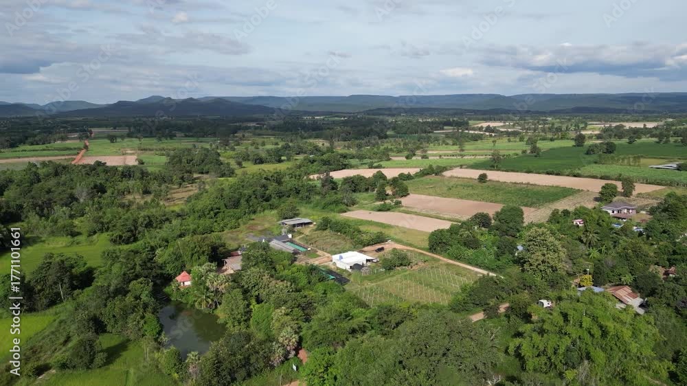 custom made wallpaper toronto digitalAerial view of rural farmland and village in Thailand showing rice fields, ponds, and green vegetation in a peaceful natural setting. Perfect for concepts related to agriculture, countryside lifestyle