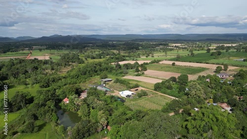 Wallpaper Mural Aerial view of rural farmland and village in Thailand showing rice fields, ponds, and green vegetation in a peaceful natural setting. Perfect for concepts related to agriculture, countryside lifestyle Torontodigital.ca