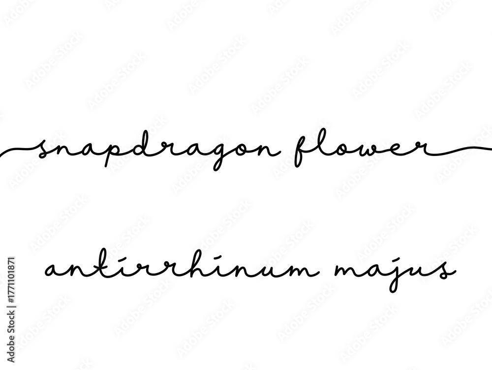 Fototapeta premium Elegant Handwritten Script of Snapdragon Flower Names in Black Ink
