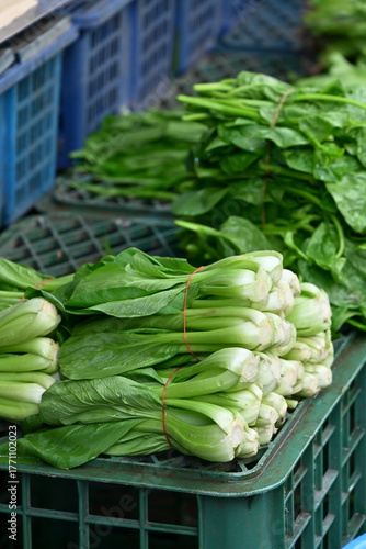 Multiple bundles of fresh bok choy (pak choi) with green leaves and light stems tied with red rubber bands in stacked dark green mesh plastic baskets, shallow depth of field, market produce display.