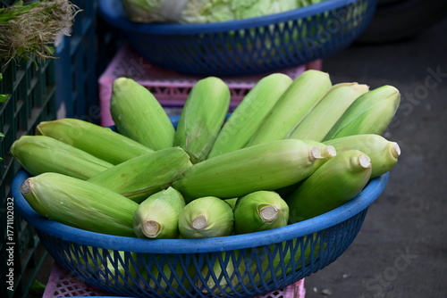 Fresh corn with light green husks and yellow silk in blue basket, pink crate beneath, soft-focused background with basket and vegetables, market produce display, Taiwan.