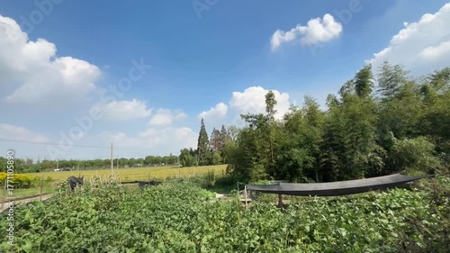 農村の畑と青空が広がる自然豊かな風景映像