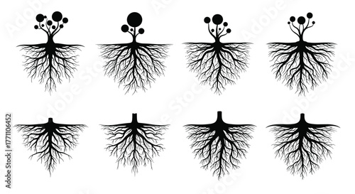 Various black and white silhouette illustrations of diverse tree root systems, some with stylized fruit-bearing tops, symbolizing growth and foundation.