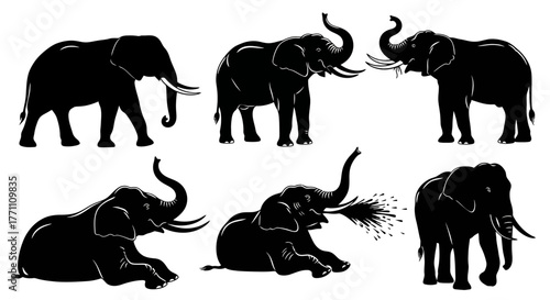 Majestic Elephant Silhouettes A comprehensive vector collection showcasing African mammals in dynamic poses, including standing, sitting, and spraying water, for nature-themed designs