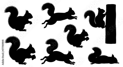 Diverse Silhouettes of Squirrels in Various Playful Poses