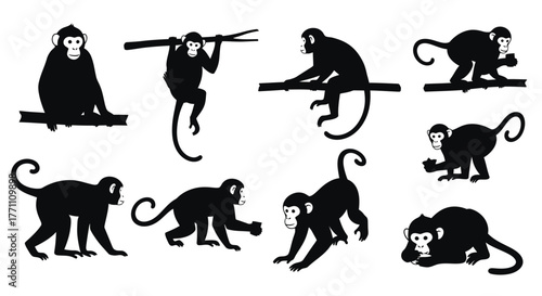 Monkey Silhouettes playful icons of primates in various poses