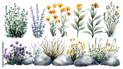 Various types of flowers grass bushes shrub and small bush isolated on white or transparent background