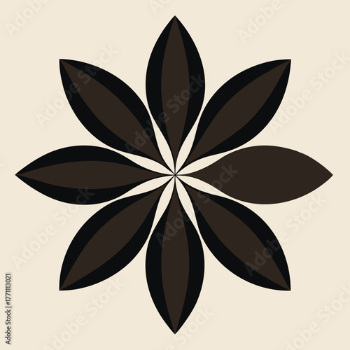 Star Anise Flower Shape With Dark Petals moti