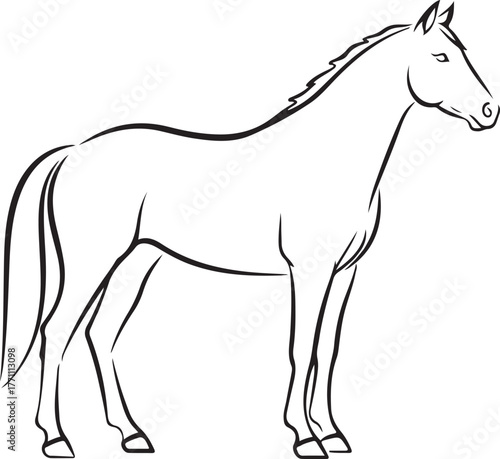 Elegant outline drawing of a majestic horse standing still in profile view