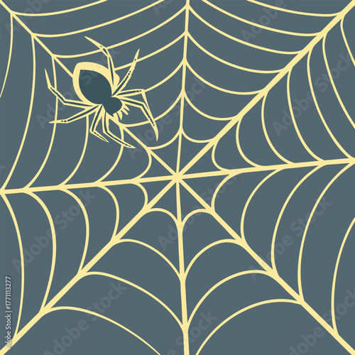 Stylized Spider and Web on a Dark Background spiderweb