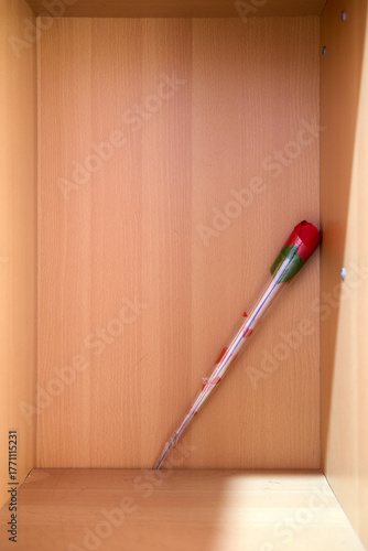 Single Rose in Empty Wooden Box Corner